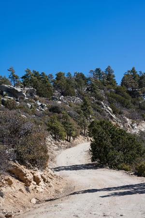 prescott (1).jpg